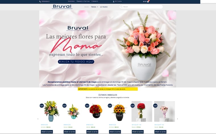 Bruval — Desarrollo y Diseño Web por Carlos Viteri